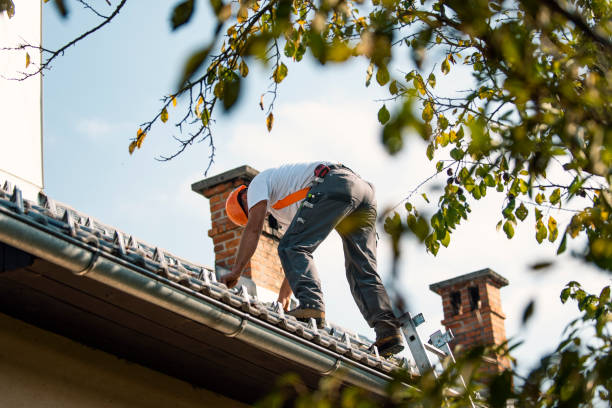 Best Roof Maintenance Services  in Madeira, OH